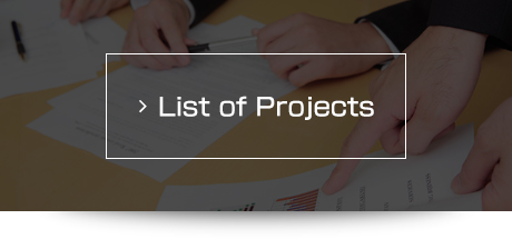 List of Projects