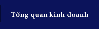 Tổng quan kinh doanh