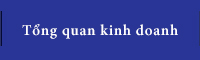 Tổng quan kinh doanh