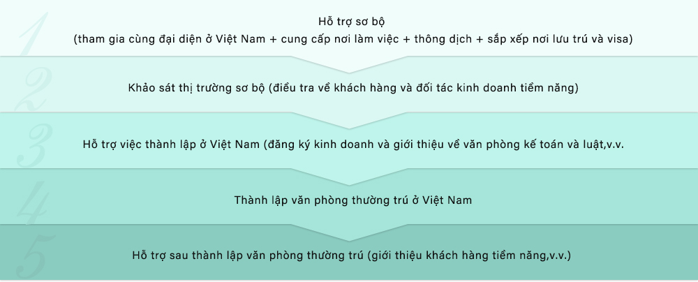 Sơ đồ cơ bản để mở rộng sang Việt Nam